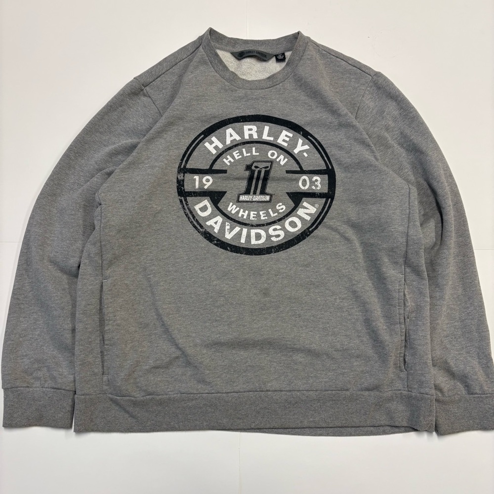 Harley Davidson Sweatshirt Men’s XL Gray Hell on Wheels 1903 Biker Pullover